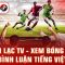 Champions-League-Glory-Streams-Live-on-Xoilac-TV