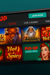 Pin Up Casino App Download