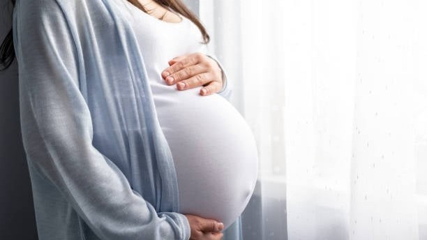 deccanherald 2024 12 17 4m2lus08 miscarriage