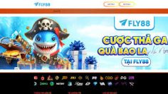 download – 2025-11-17T232200.378