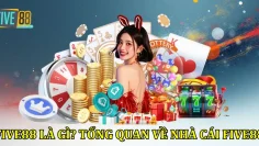 five88-la-gi-tong-quan-ve-nha-cai-five88 (1)
