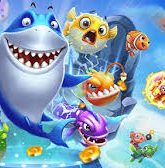 images (62)