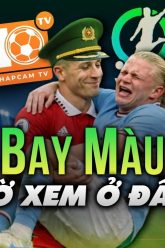 maxresdefault (18)