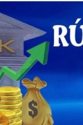 rutin (3)