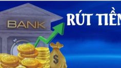 rutin (3)
